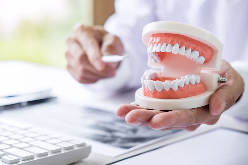 A man holds a tooth model near a computer,